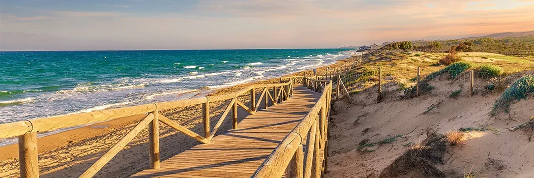 Dune, natură, mare