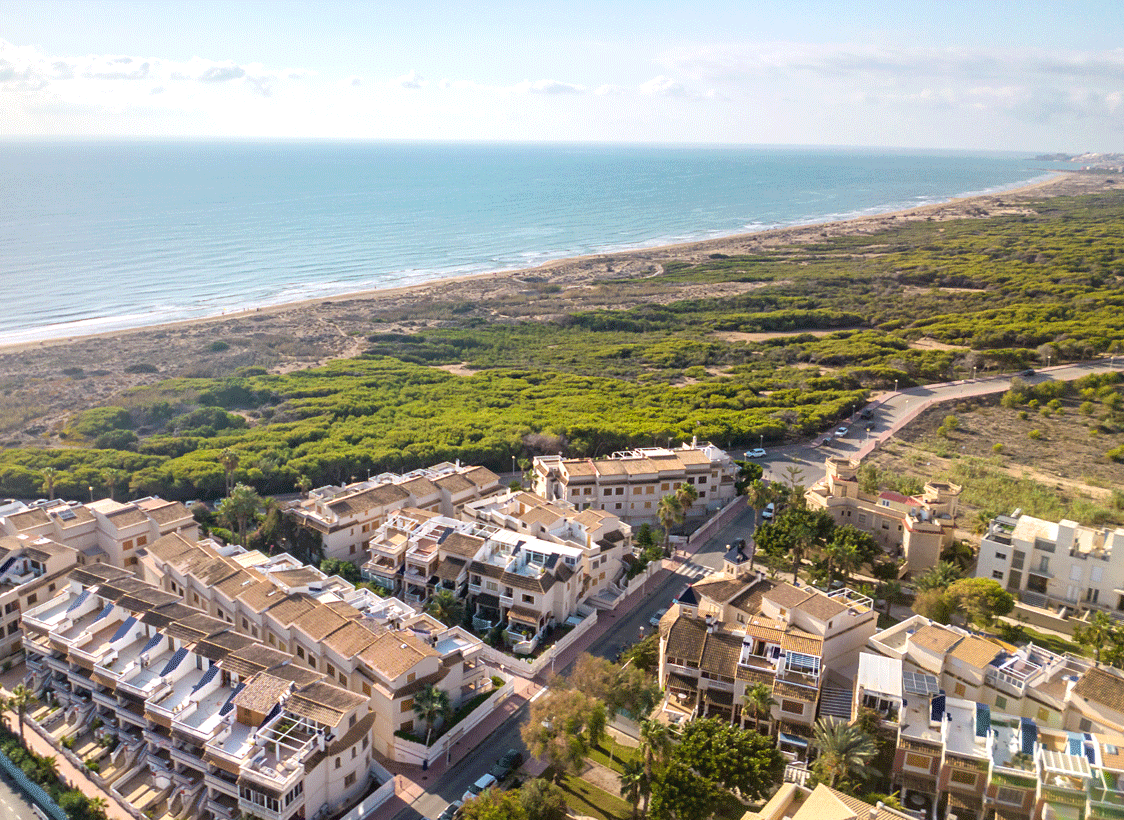 Imobiliare în Guardamar del Segura